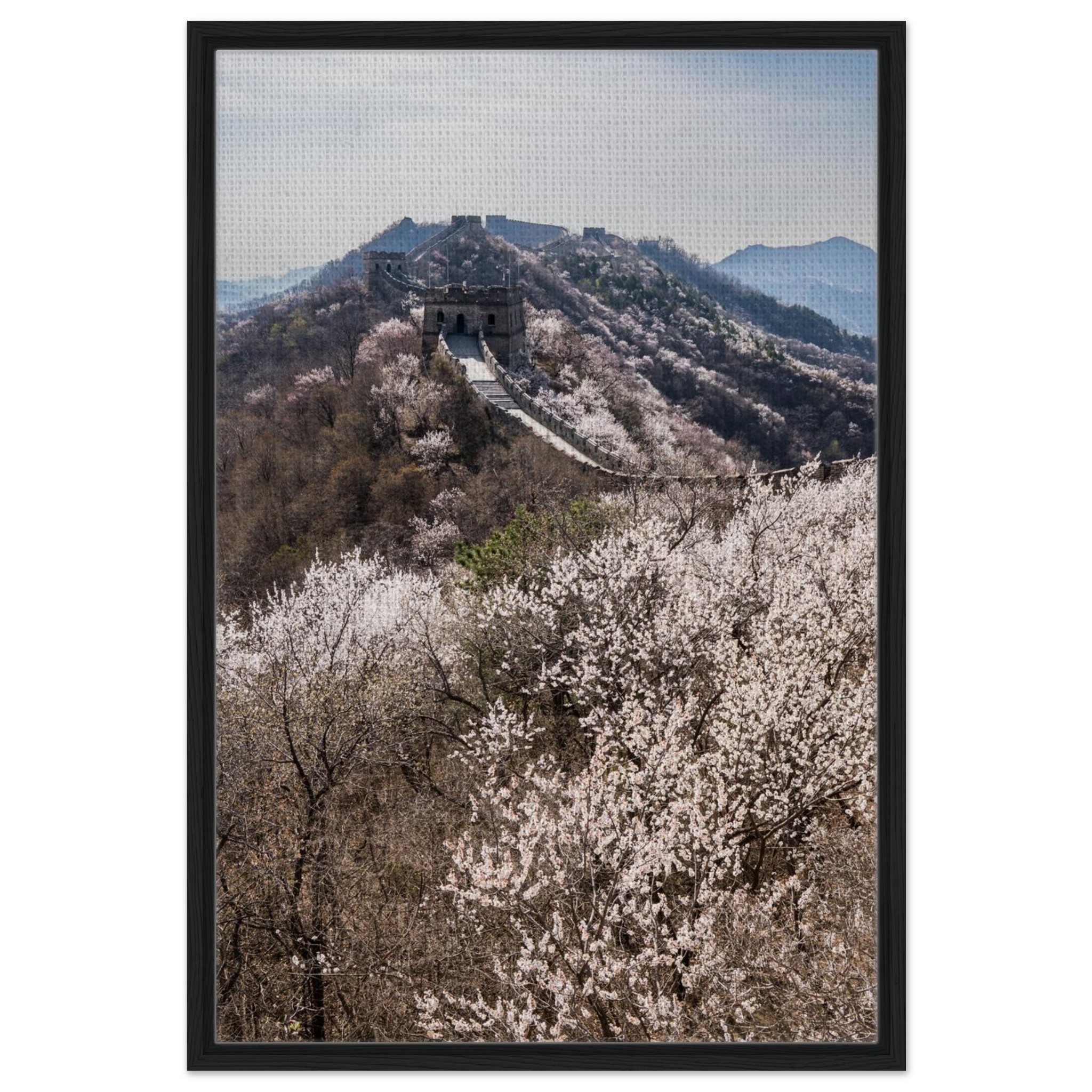 f8bcd37c-ece4-4abf-a9f5-b770071d57d7