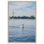 129a951c-f1a7-4b80-9c4a-89c69f0c0608