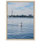 6f718b1d-e1d8-49a1-8f45-1826aa14283a