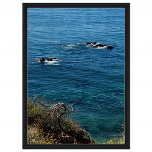 88e084a0-67c7-445f-bffb-f372c88894e2