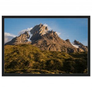 a4da188d-e71a-4e0d-97a3-a934574f4c7d